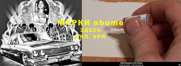 прущие грибы Богданович
