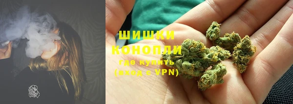 МДПВ Богородск