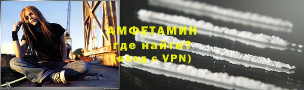 прущие грибы Богданович