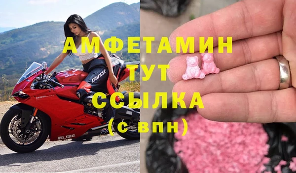 прущие грибы Богданович