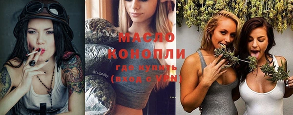 МДПВ Богородск