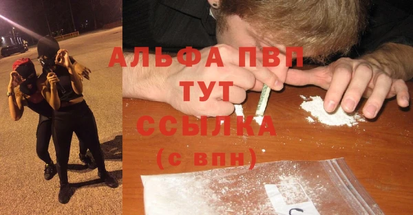 прущие грибы Богданович