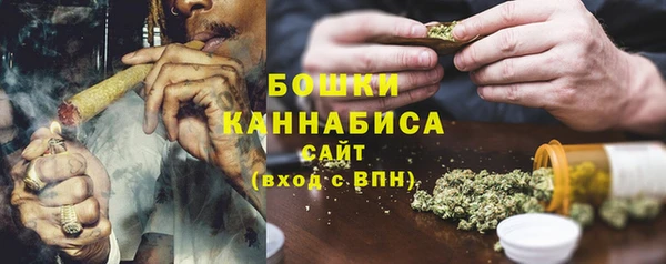прущие грибы Богданович